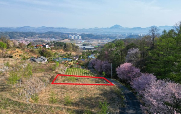 금산군 금산읍 음지리